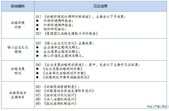 戰(zhàn)略規(guī)劃咨詢項(xiàng)目成果清單